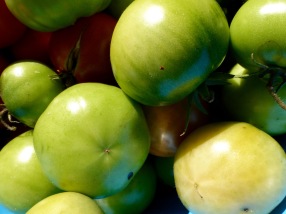 1 - Green Tomatoes